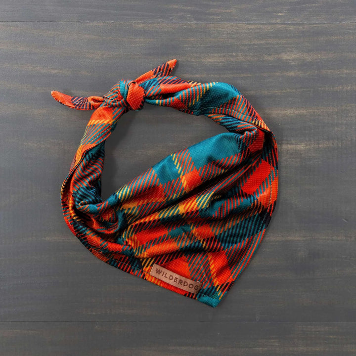 Hundebandana - Pumpkin Spice Plaid