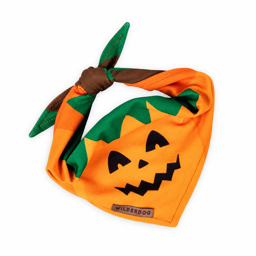 Hundebandana - Pumpkin