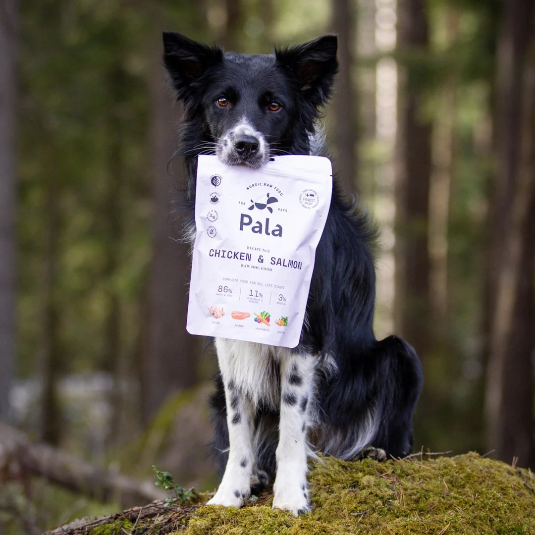 Lufttørket råfôr til hund - Kylling & laks