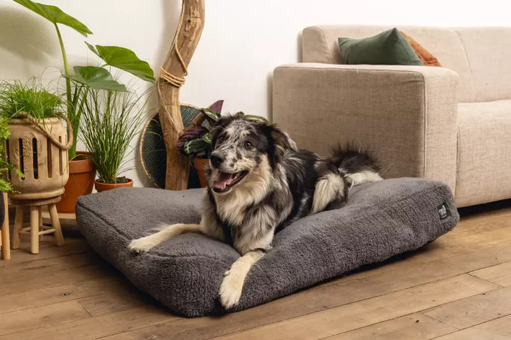 Don Hundeseng - Grå - 100cm