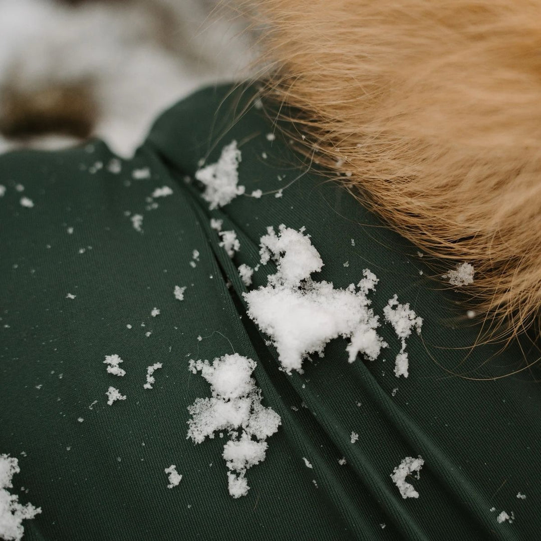 Snødress til hund