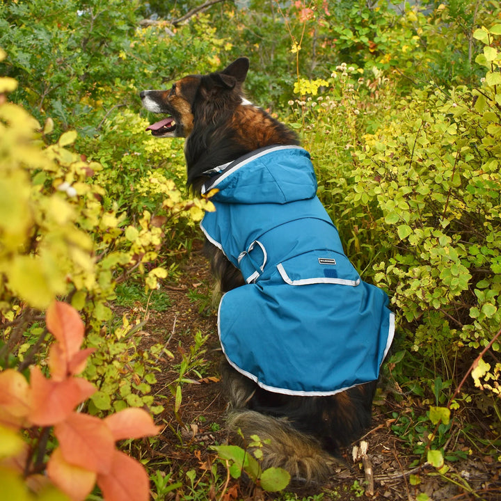 Regndekken til Hund - Wilderdog - Pacific Blue
