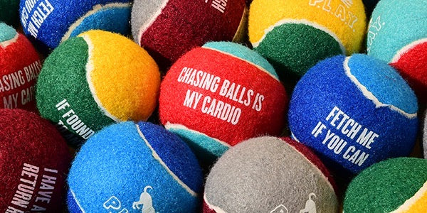 Dog Tennis Balls - 4-pakning med Pip