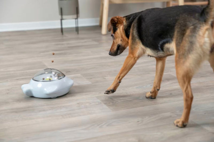 Dog Activity Snack Popper - Hjernetrim og Bevegelse
