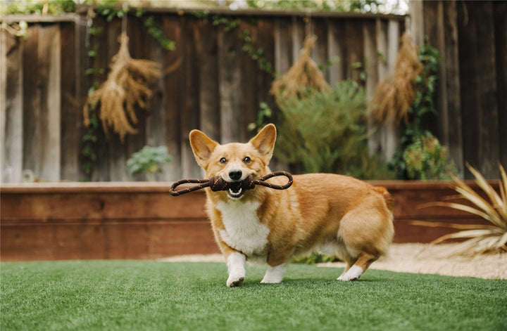 Rope Toy - Tauleke Small