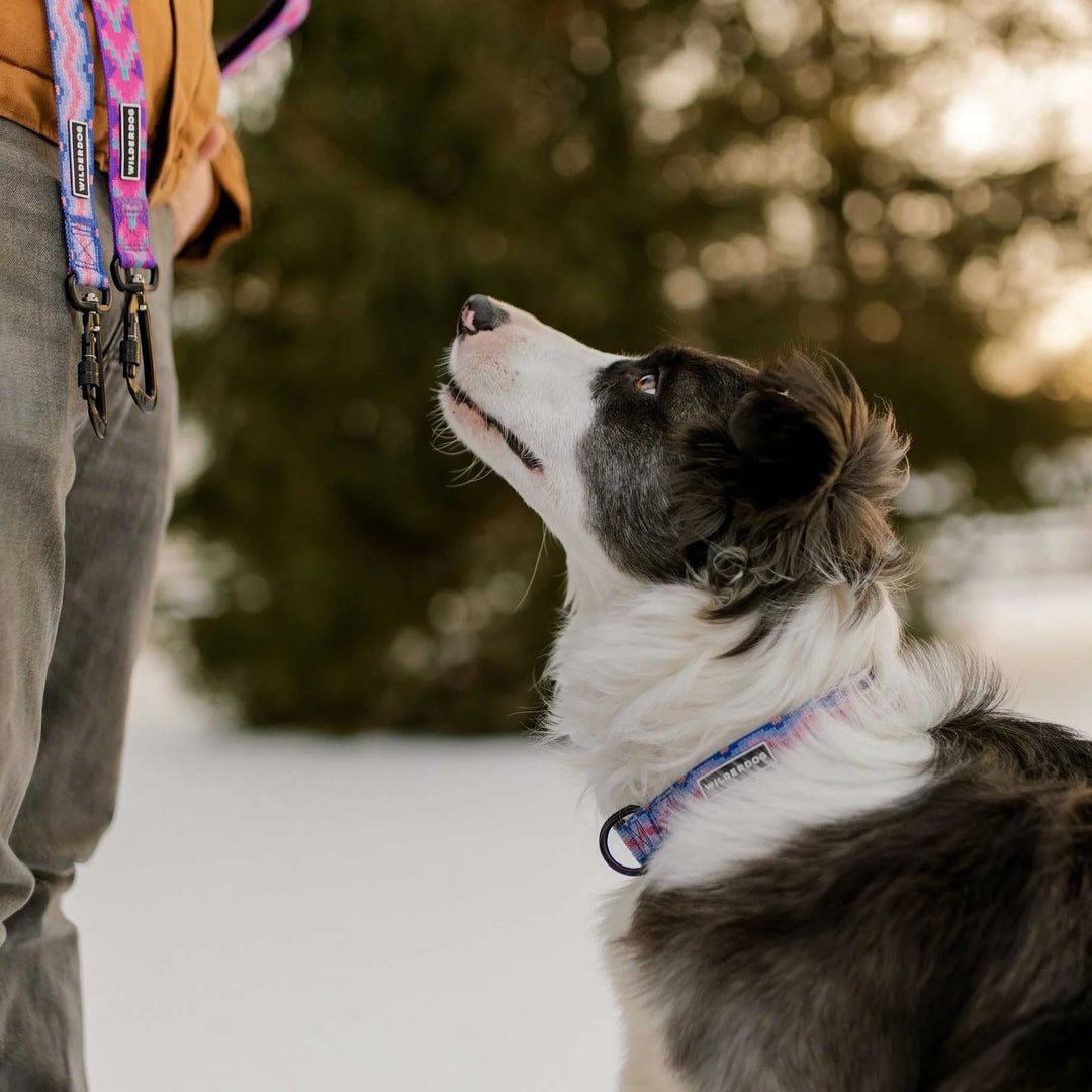 Ultralight Hundehalsbånd - Fireweed