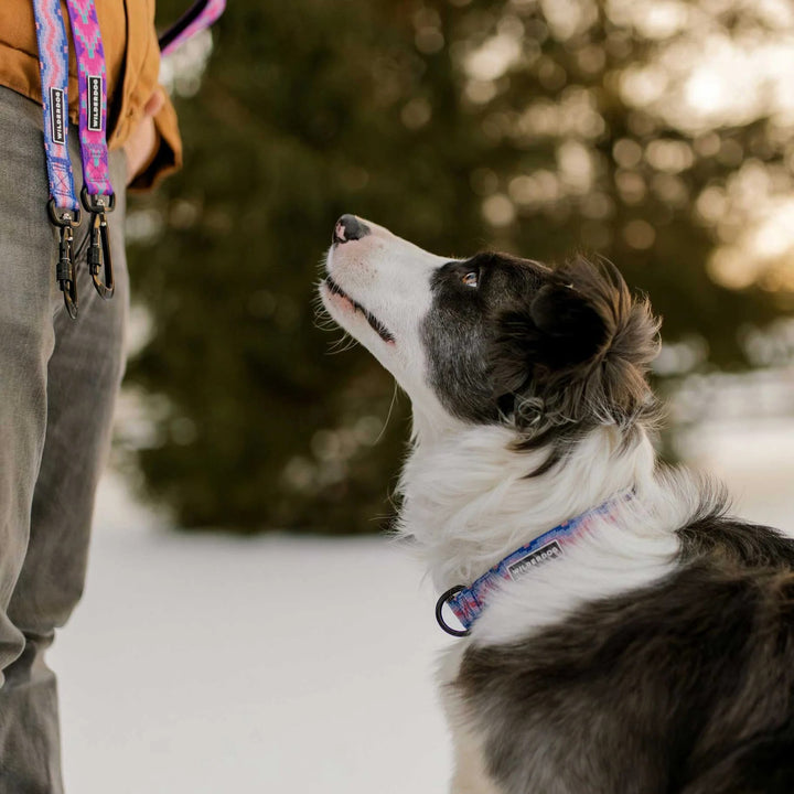 Ultralight Hundehalsbånd - Fireweed