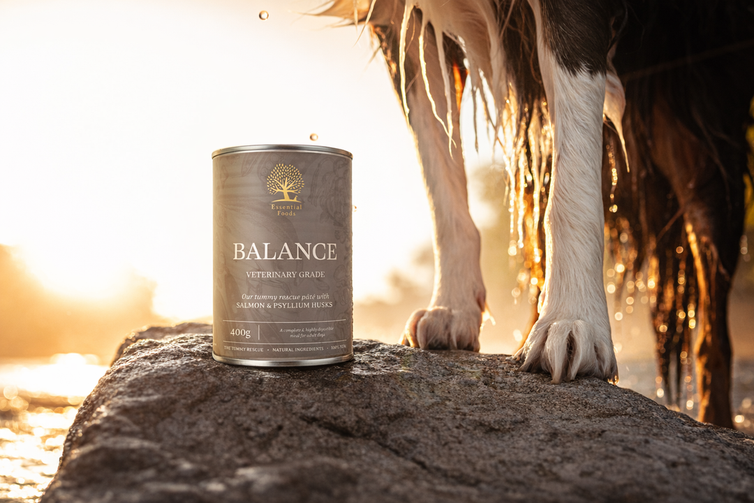 Balance Pâté
