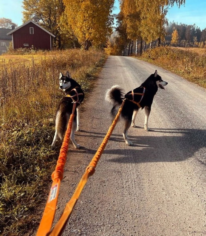 Strikkline med twistlås - Oransje
