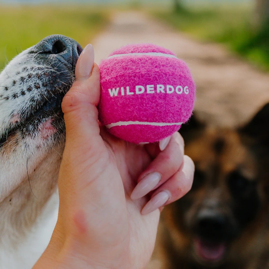 Fetch Ball - Pink