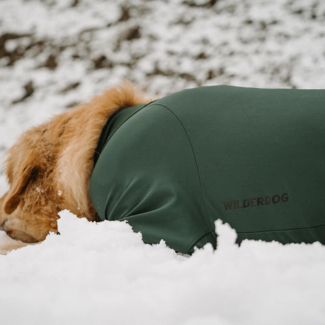 Snødress til hund