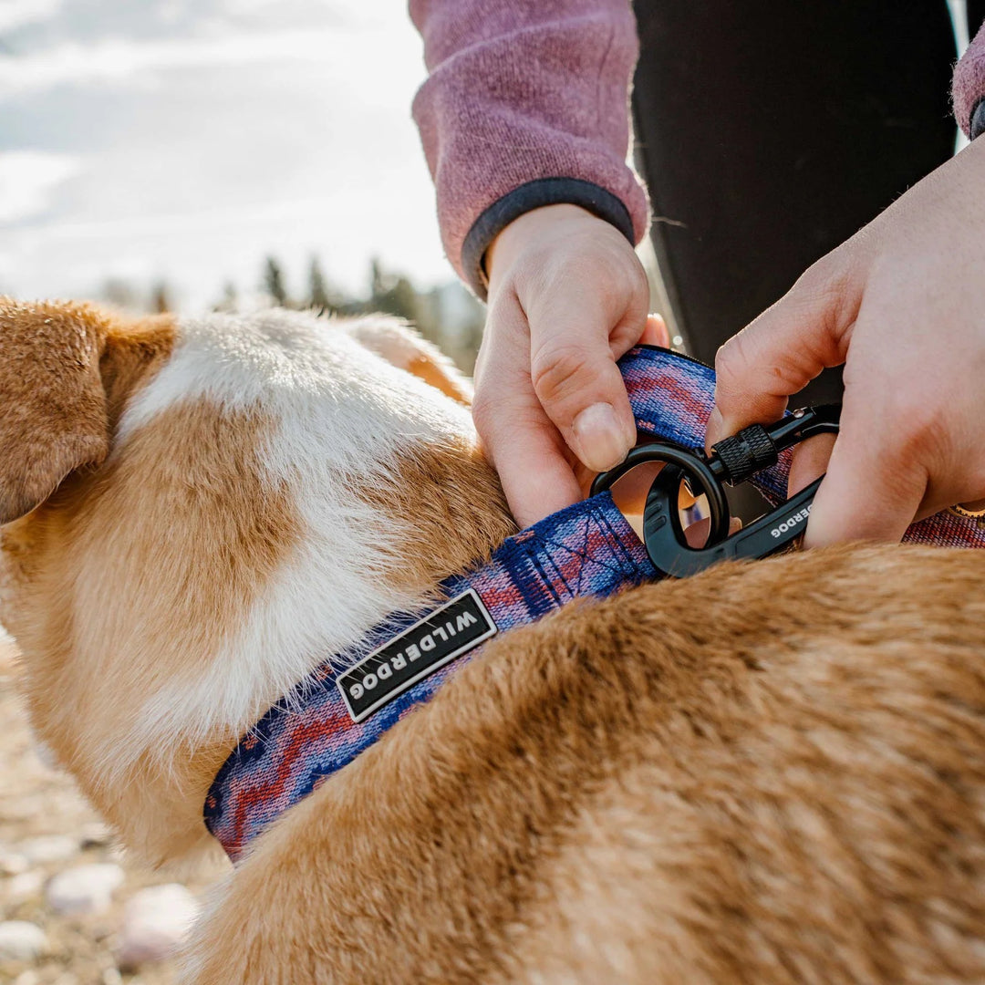 Ultralight Hundehalsbånd - Fireweed
