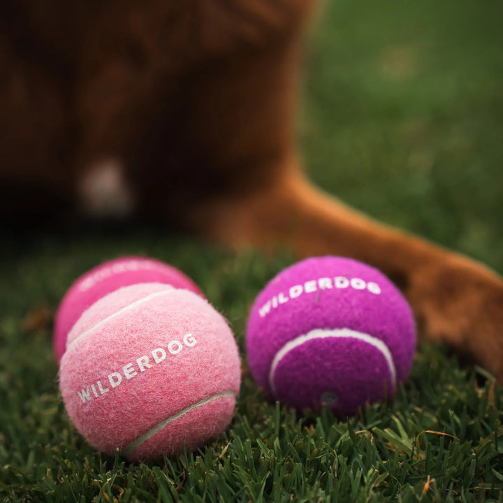 Fetch Ball - Pink