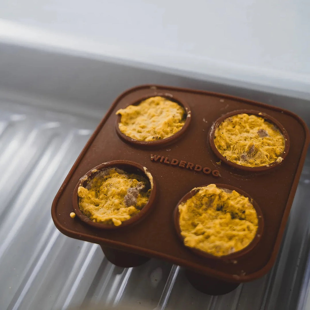 The Conifur - Interaktivt Hundeleketøy med Fryseform