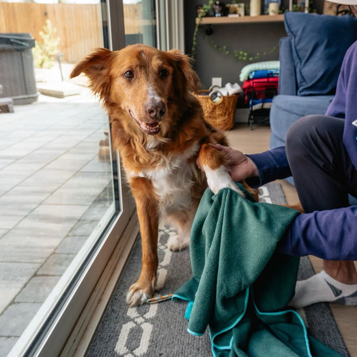 Quick Dry Towel - Hurtigtørkende håndkle for hund