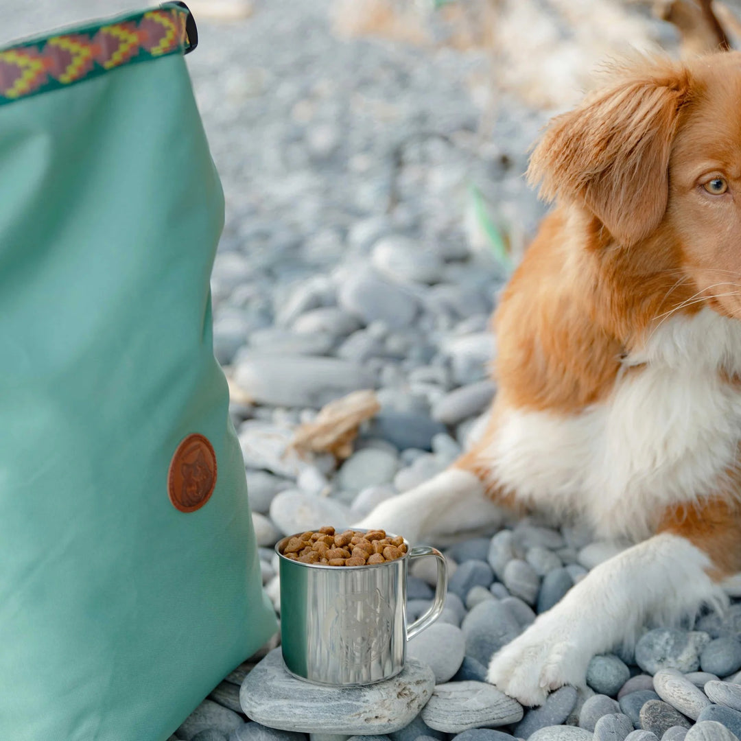 Doggie Bag - Seafoam
