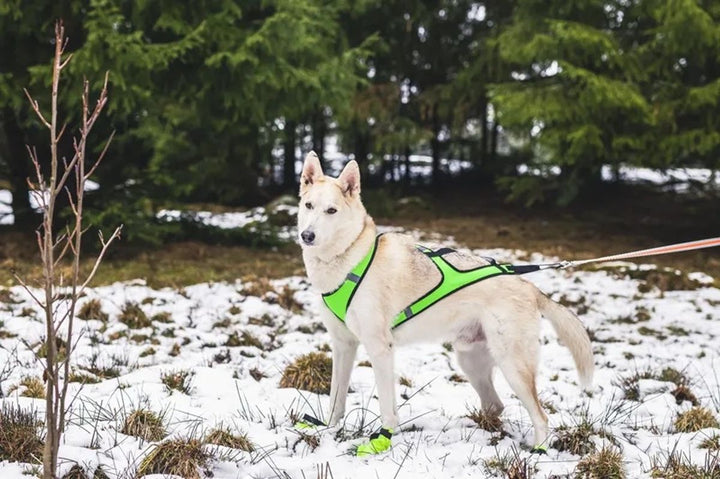 Skisele/trekksele Neongrønn