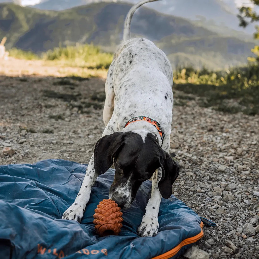 The Conifur - Interaktivt Hundeleketøy med Fryseform