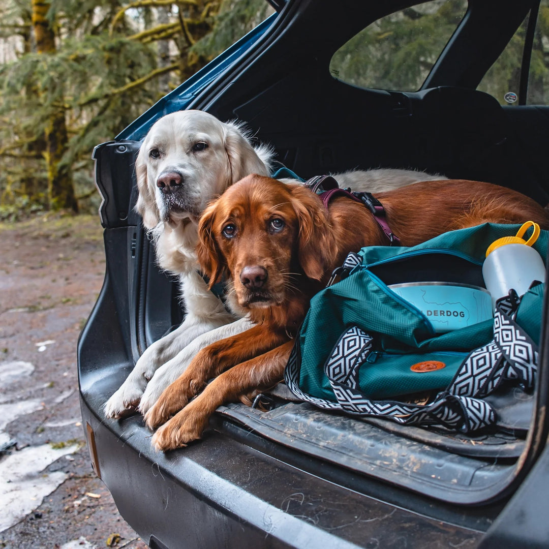 Dog Duffel - Bag til hundeutstyr
