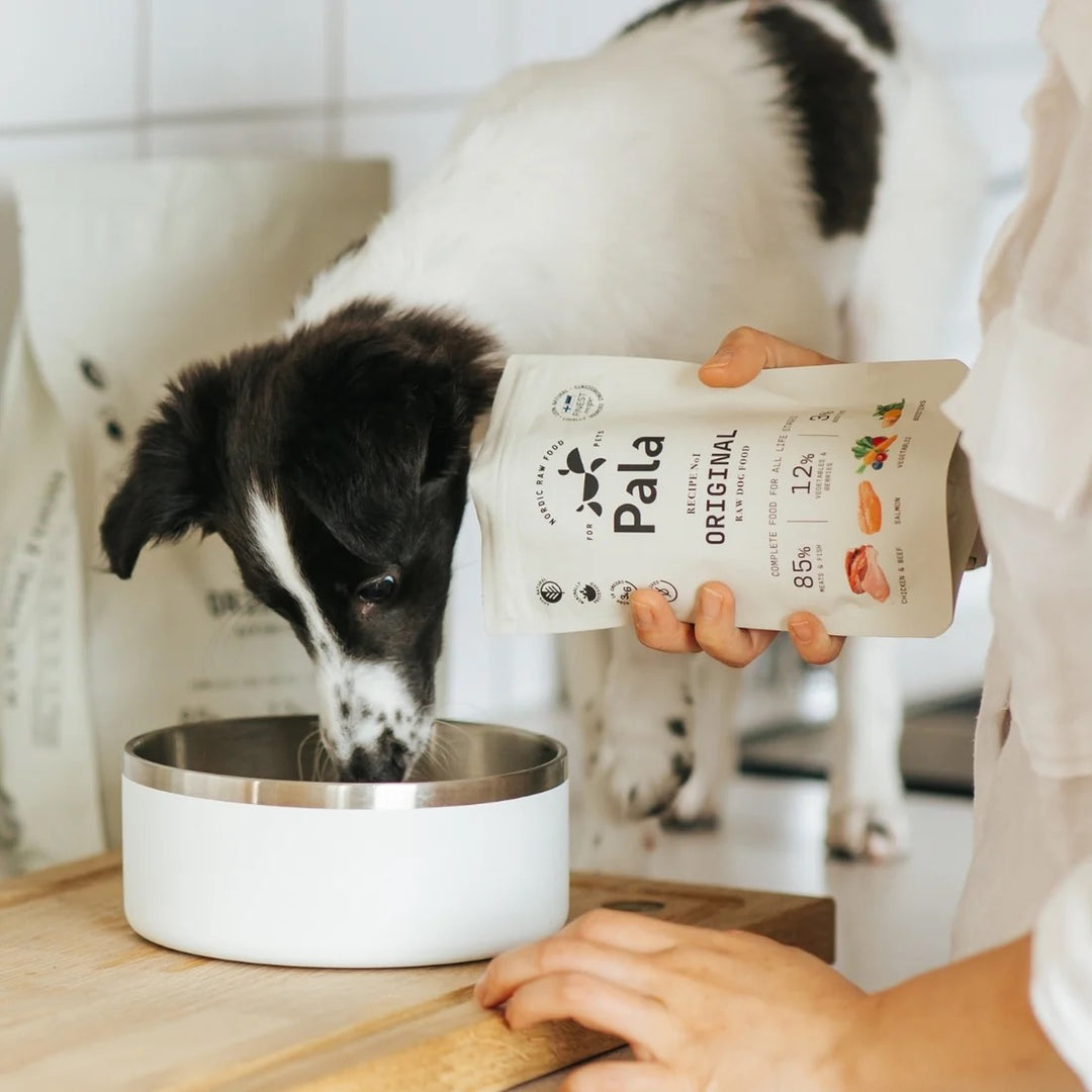 Lufttørket råfôr til hund - Original