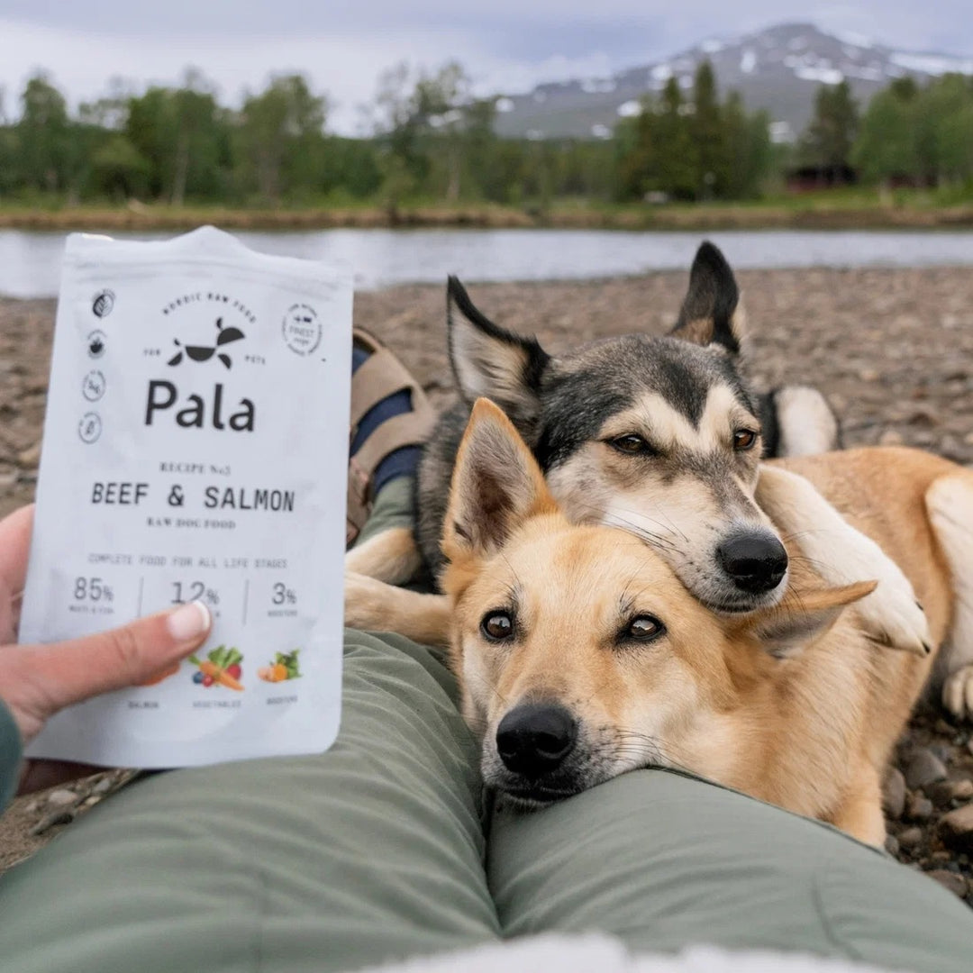 Lufttørket råfôr til hund - Storfe & laks