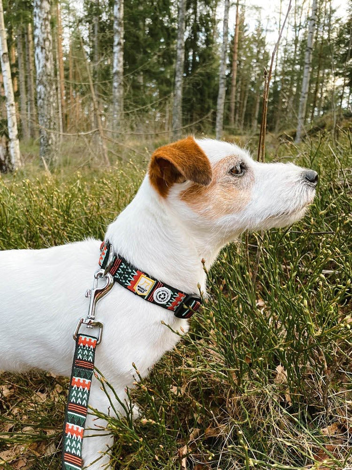 Hundebånd - Woodland