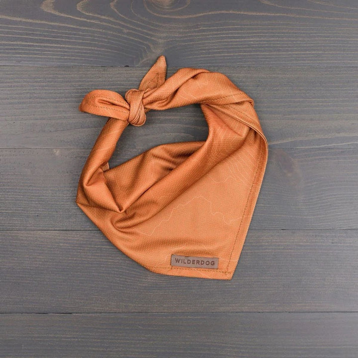 Hundebandana - Orange Topo