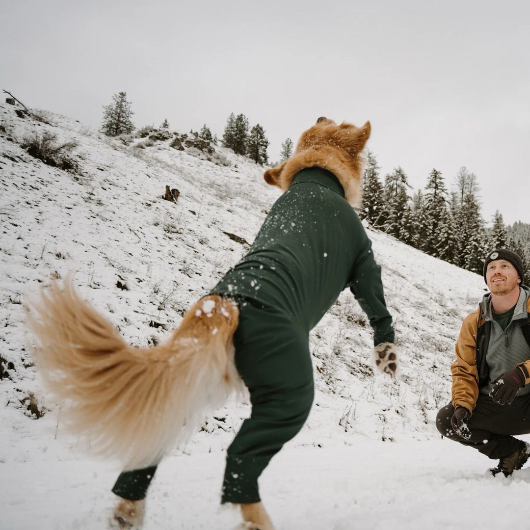 Snødress til hund