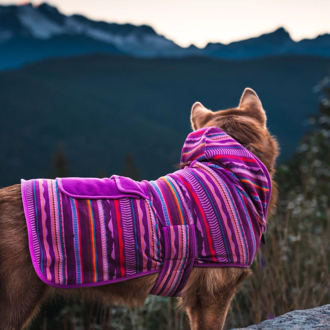 Fleece Hoodie - Dawn