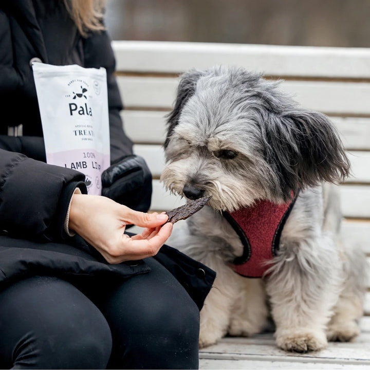 100 % Lammelever - Naturlige godbiter til hund