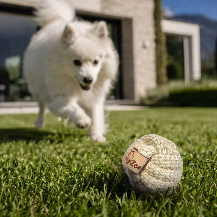 Hundeleke Mini Tauball